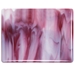 White Opal, Cranberry Pink, Dbl-rolled - 002310-0030-05x10