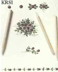 Rose Stick Set 