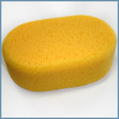 Oval Sponge 